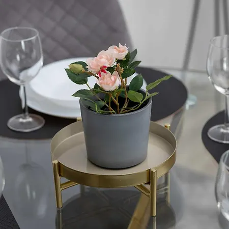 Appartement Stylowy Z Parkingiem I Biurkiem W Gdansku By Renters